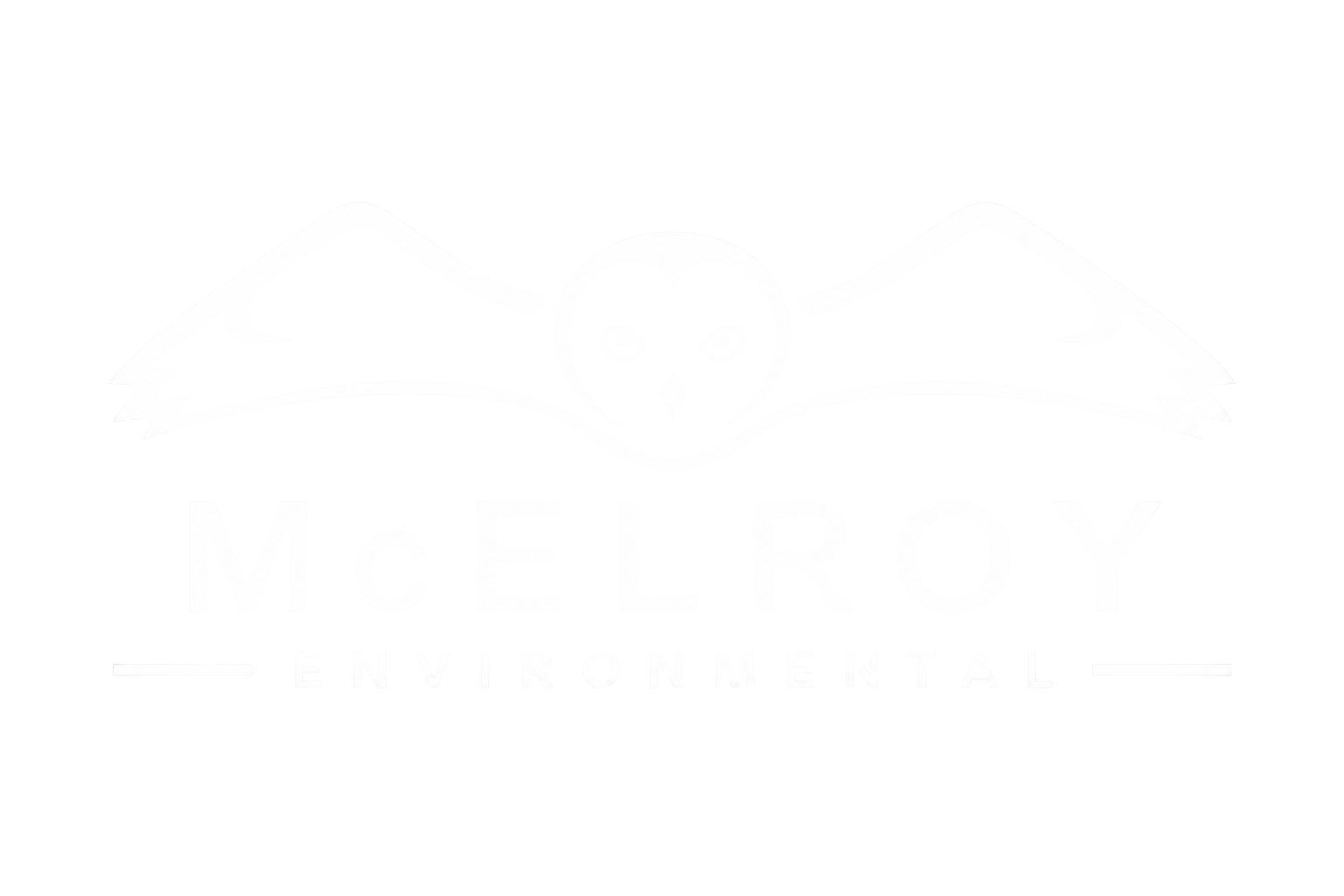 McElroy Environmental